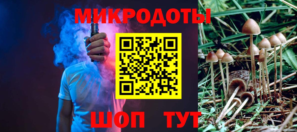 Псилоцибиновые грибы Psilocybe Верхняя Салда