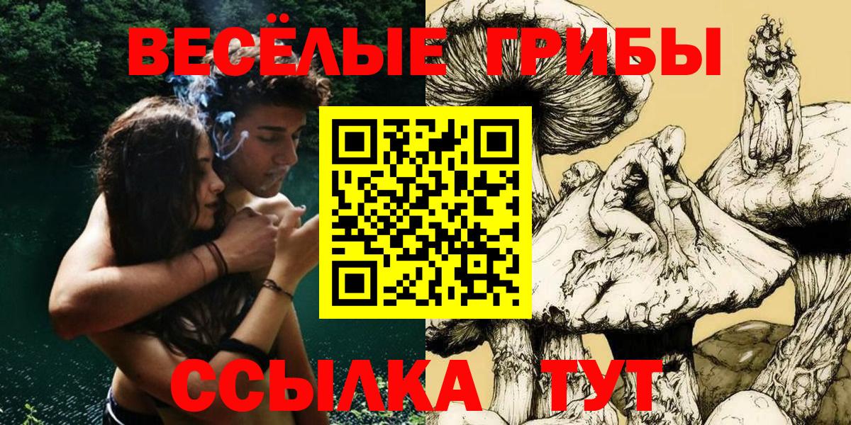 Верхняя Салда  Псилоцибиновые грибы Magic Shrooms  Вход с VPN 